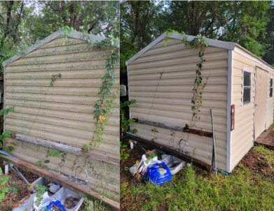 Backyard shed before and after being soft washed and cleaned